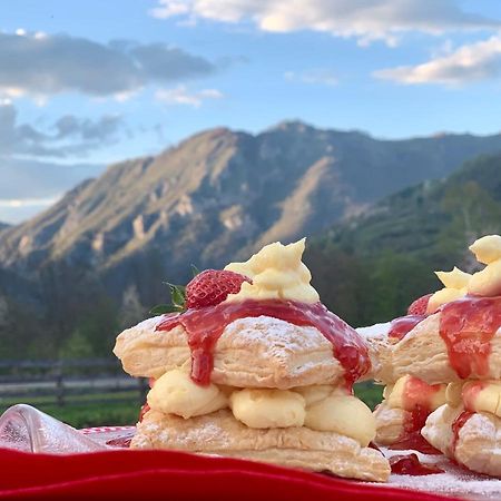 Zvjezdana Dolina Garni Hotel 앤드리자비카 외부 사진