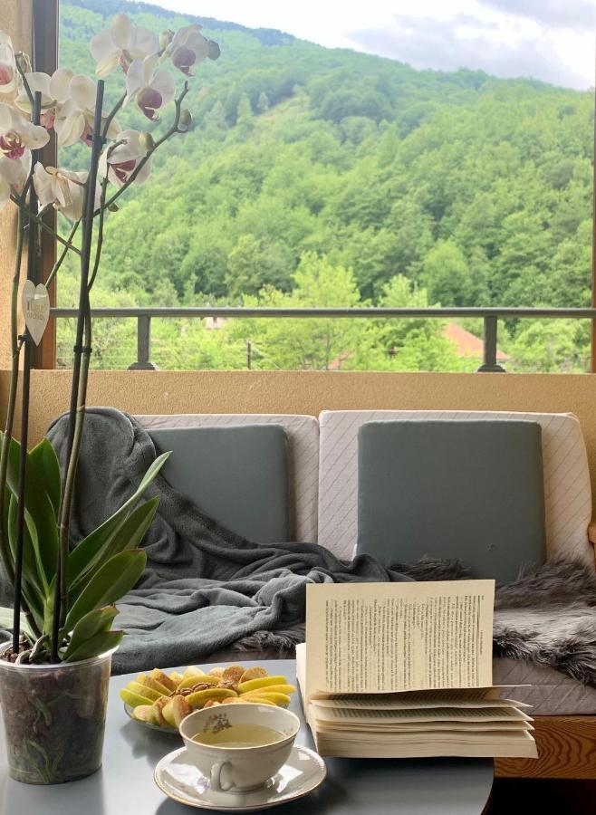 Zvjezdana Dolina Garni Hotel 앤드리자비카 외부 사진